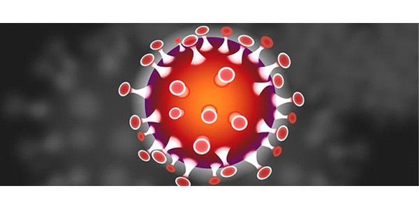 香港單向通關(guān)最新消息今天，冀港深發(fā)揮“雙引擎”